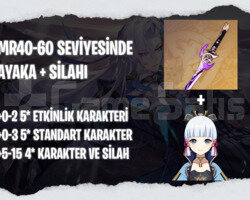 EU | MR40+ Ayaka + Silahı