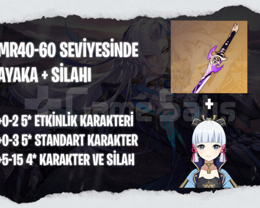 EU | MR40+ Ayaka + Silahı