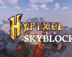 Hypixel Skyblock 20M