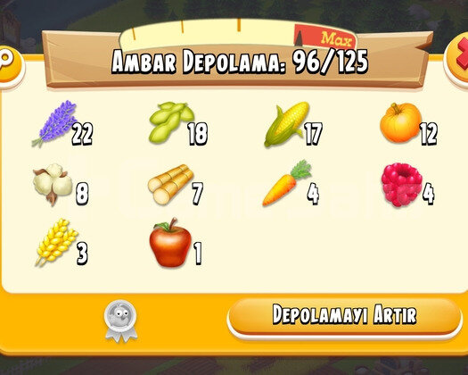 21 Level 2750 Ağıllı Hayday Hesap