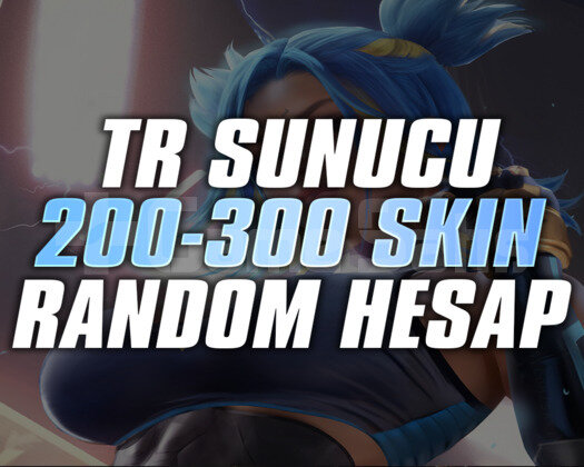 TR SUNUCU 200-300 SKİN DOPDOLU RANDOM