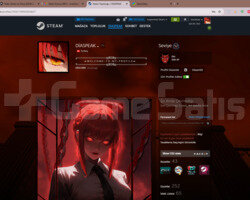 STEAM HESAP