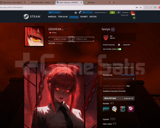 STEAM HESAP