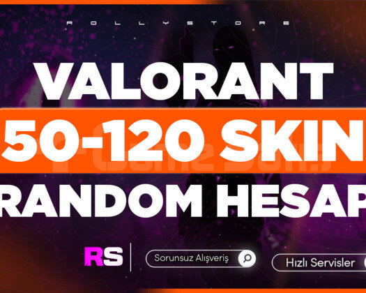 100 TR SUNUCU Özel Stok 50-120 HESAP