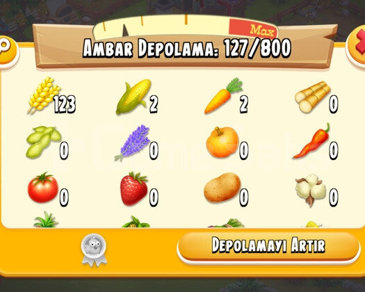 +50 LEVEL 3000 AĞIL 800 AMBAR HESAP