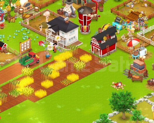 +50 LEVEL 3000 AĞIL 800 AMBAR HESAP