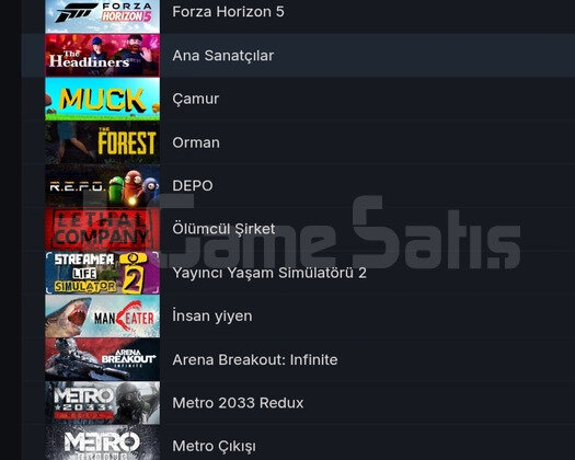 Steam 159 oyun kişisel hesap