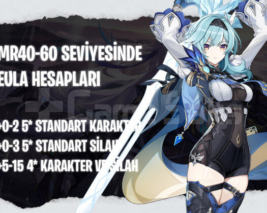 EU | MR40+ Eula