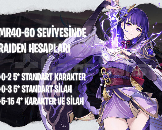 EU | MR40+ Raiden