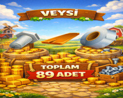ANINDA 89 AĞIL
