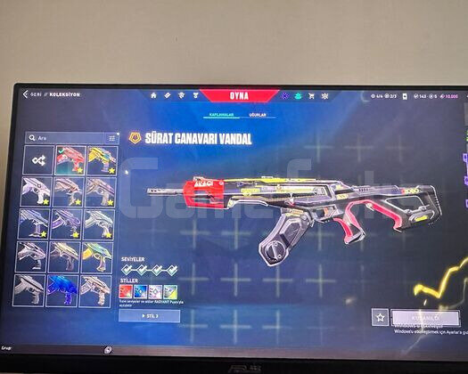 RIOT GUNBUDDY VE +80 SKINLI HESAP