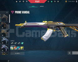 TR 139 Level | Prime Vandal | Mailli Hesap