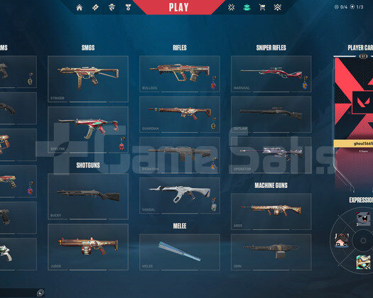 TR 17 Skin | 2 Bıçak - 2 Vandal | Mailli Hesap