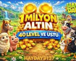 +40 LEVEL 1 MİLYON ALTIN
