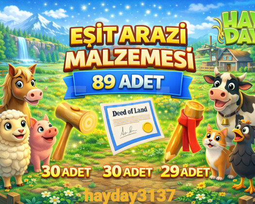 89 ADET EŞİT ARAZİ MALZEMESİ