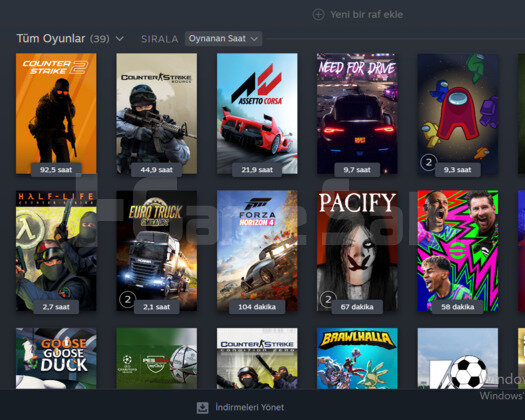 Bol oyunlu steam hesabı