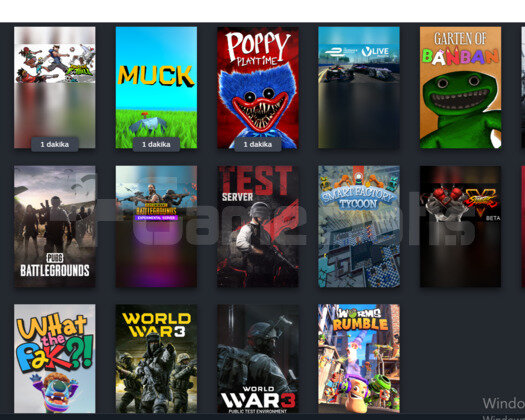 Bol oyunlu steam hesabı