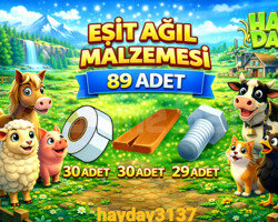 89 ADET EŞİT AĞIL MALZEMESİ