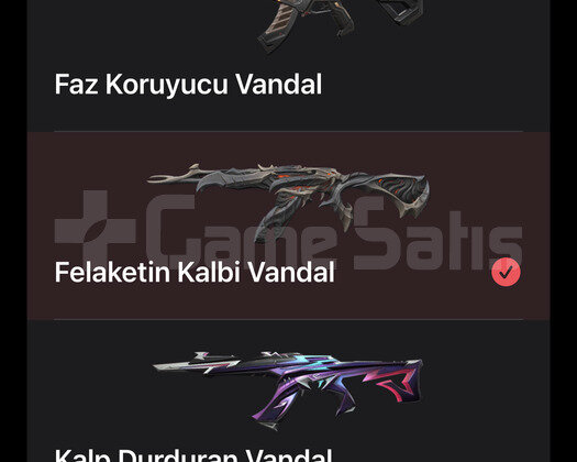 İyon Karambit + Seri Tetik Sheriff+ Vandallar