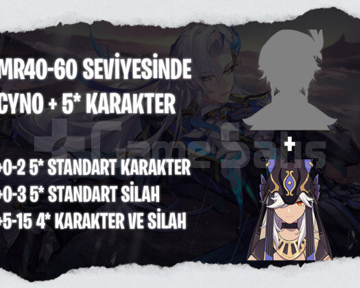 EU | MR40+ Cyno + Rastgele 5*