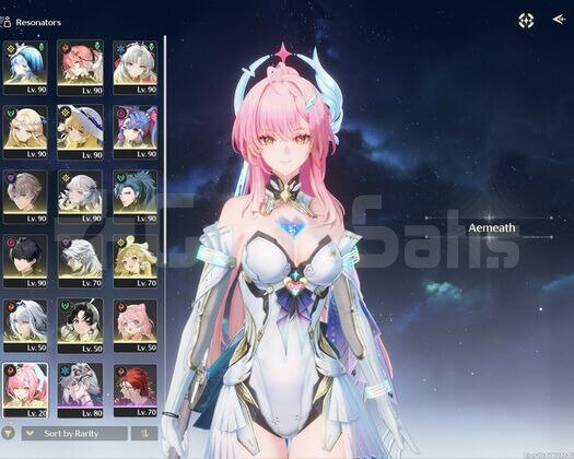 C1 Aemeath + C3 Jiyan