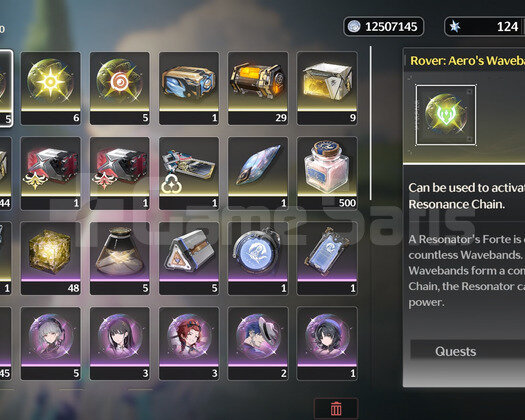 R5W1 Aemeath + Mornye