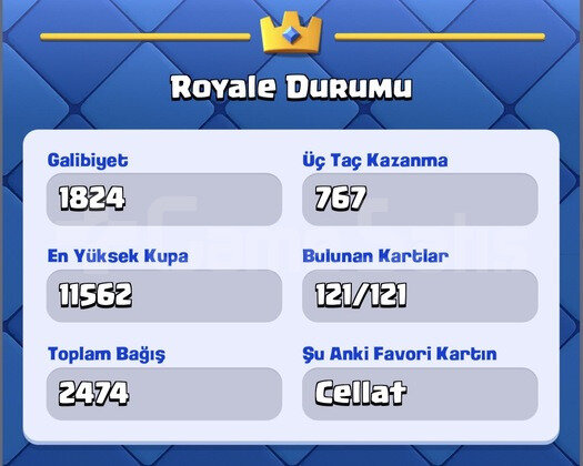 11500+ KUPA 65 LEVEL ANLIK TESLİMAT