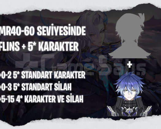 EU | MR40+ Flins + Rastgele 5*