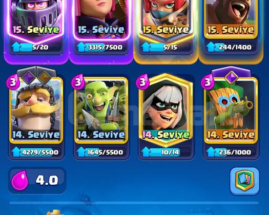 VİP 10.3K KUPA 10 EVRİM 9YILLIK CR