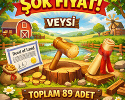 HIZLI 89 arazi