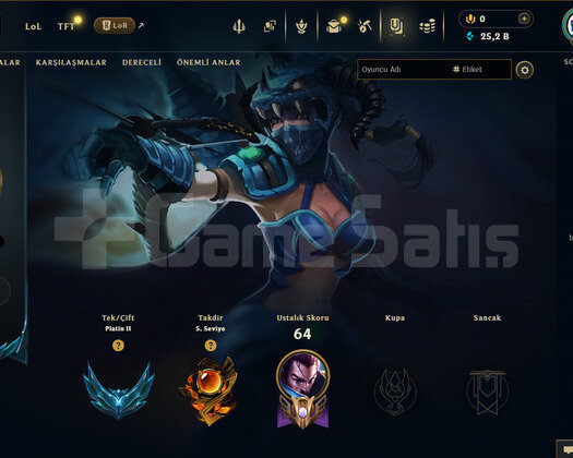 EUW PLAT 2/ +20 SKİN / +25K ÖZ / MAİL ONAYSIZ