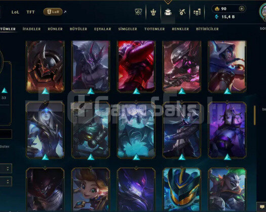 293 LVL + 83 KOSTÜM + 139 HERO + 15K ÖZ + MAİL!