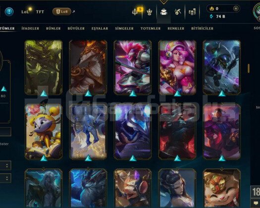 239 LVL + 194 KOSTÜM + 172 HERO + 74K ÖZ + MAİL!