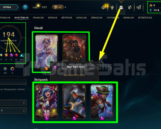 239 LVL + 194 KOSTÜM + 172 HERO + 74K ÖZ + MAİL!
