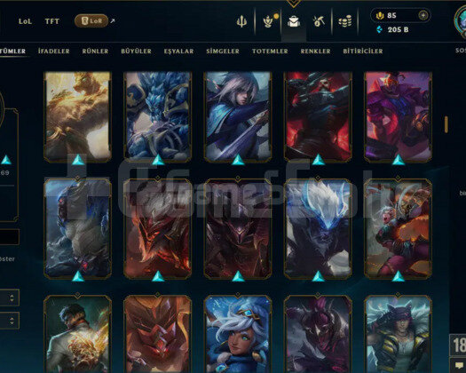 670 LEVEL + 187 KOSTÜM + 172 HERO + 205K ÖZ+ MAİL!