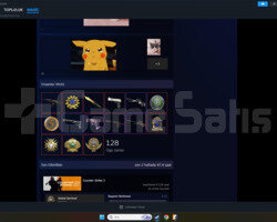 8 k saat  9 level faceit 17 bin tl  envt 18 madlya