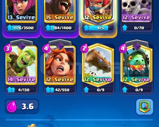 8.2K KUPA 3 EVRİM 4 YILLIK CR