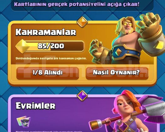 8.2K KUPA 3 EVRİM 4 YILLIK CR