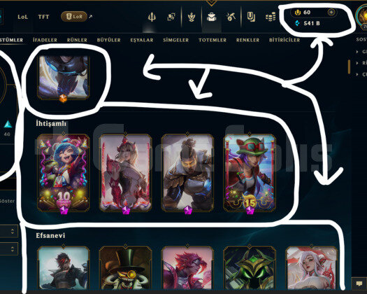 EUW / 705 LEVEL / 172 SKİN /+MAİL /+12.500 SATIŞ