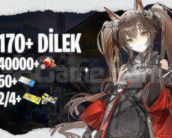 EU/NA | Gilberta + 40000+ Oroberly 50/2/4