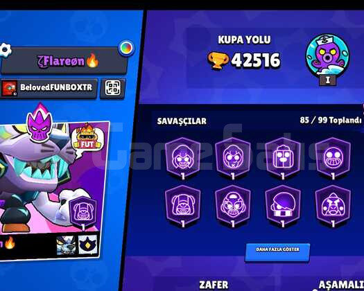 42K kupa Bol Skinli Emek Hesap