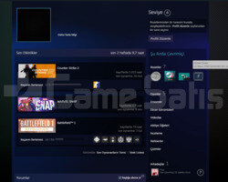 10 MADALYA 1100  SAAT  CS STEAM HESABI