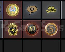 TR HESABI 4 MADALYALI + ETS2
