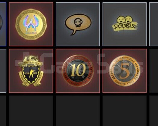 TR HESABI 4 MADALYALI + ETS2