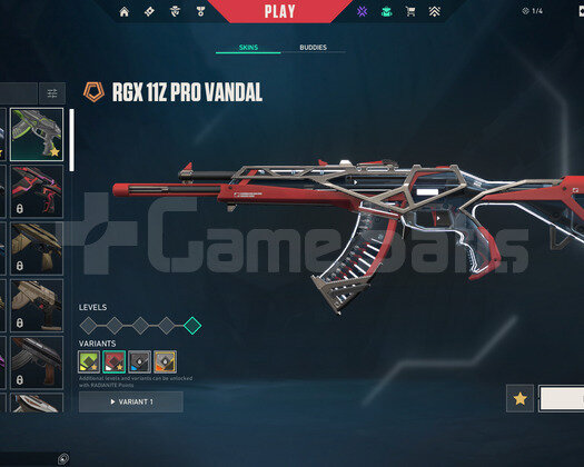 TR 36 Level | RGX 11z Pro Vandal | Mailli Hesap
