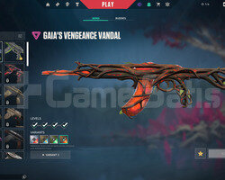 TR 36 Level | RGX 11z Pro Vandal | Mailli Hesap