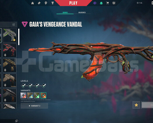 TR 36 Level | RGX 11z Pro Vandal | Mailli Hesap