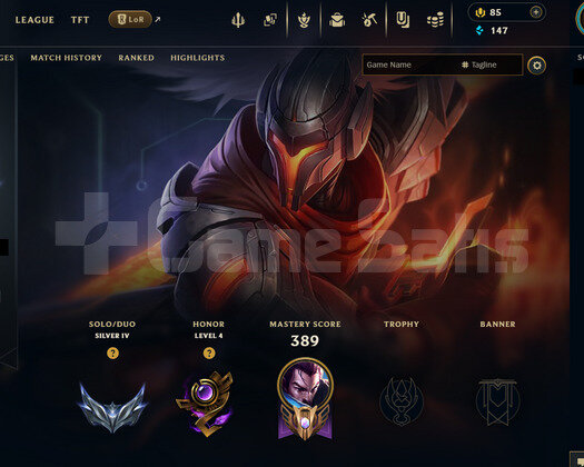 EUW 112 LEVEL | 42 KOSTÜM - 166 HERO | HANDMADE HE