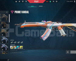 TR 64 Level | Prime Vandal | Mailli Hesap
