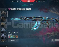TR Bronz 3 | Gaias Vengeance Vandal | Mailli Hesap